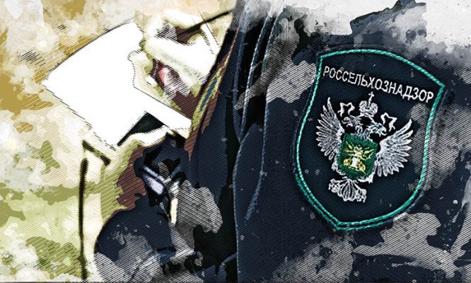 Орловский магазин подсунул дачникам сомнительный «Цыганский табор»