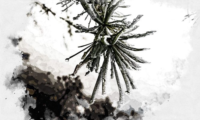 Синоптики прогнозируют возвращение мокрого снега в Орловскую область