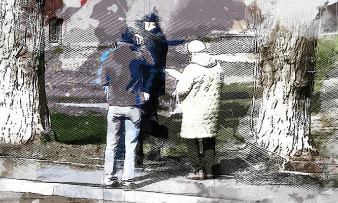 Орловцы сняли членов комиссии, приговаривающих деревьев к вырубке