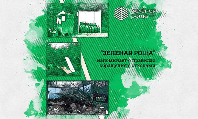 Шины и ветки - не ТКО. «Зеленая роща» напоминает о правилах обращения с отходами