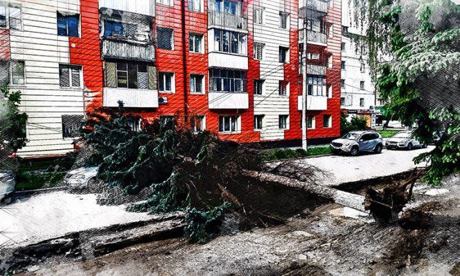 В Орле при благоустройстве улицы Сурена Шаумяна огромная ель упала на автомобиль