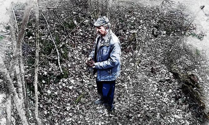 В лесу под Спасским‑Лутовиновым нашли около 20 землянок