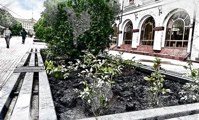 Центр Орла снова расцветёт тысячами роз