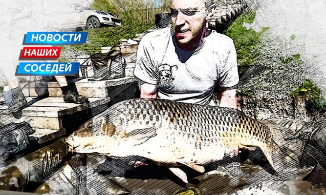 В Курске рыбак поймал карпа-гиганта