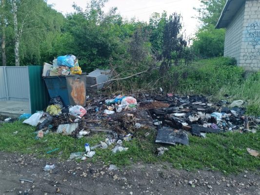 Жалобы жителей Ливен на мусор не остались без внимания