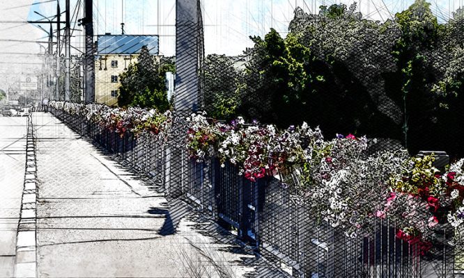 В Орле Герценский мост украсят 980 кашпо с петуниями