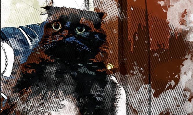 Чёрная кошка, два спасателя и топор: ночью в Орле провели необычную спецоперацию