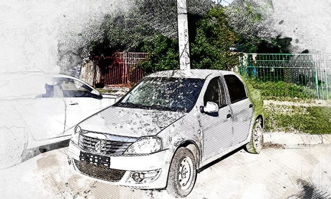 В Орле птицы превратили автомобиль в отхожее место