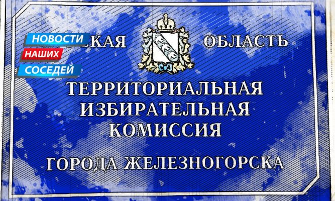 Куряне хотят вернуть прямые выборы мэра через референдум