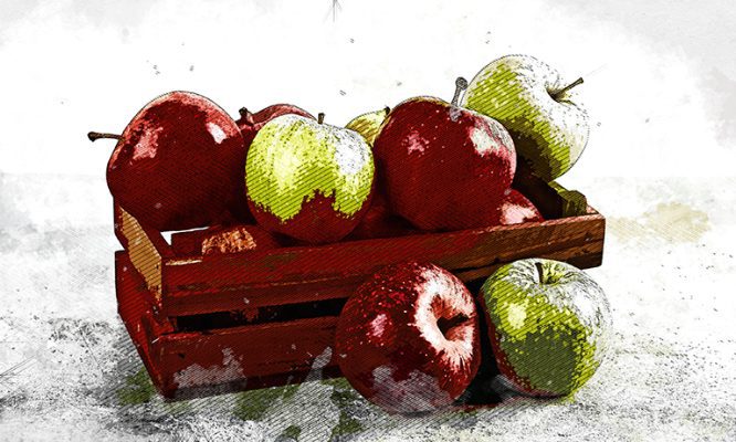 Орловцев приглашают на сбор небывалого урожая яблок в Спасском
