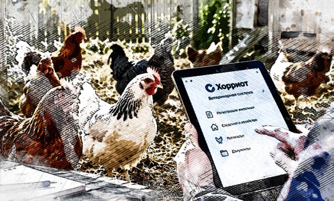 В Орловской области обеспечат маркировку домашней птицы