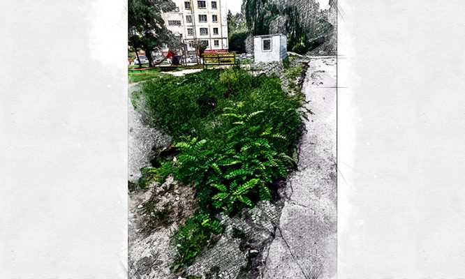 Орловцы возмущены беспределом при благоустройстве дворов