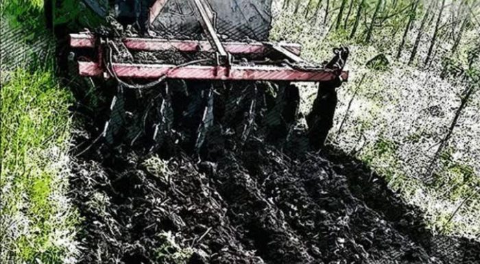 В лесах Орловской области создано 200 км новых противопожарных полос